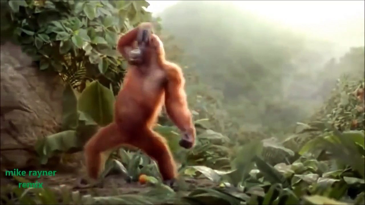 Funny Ape Song. Cartoon Parody. Dance Music Pop Songs. (Dancing Gorilla) Kids Cartoons mov