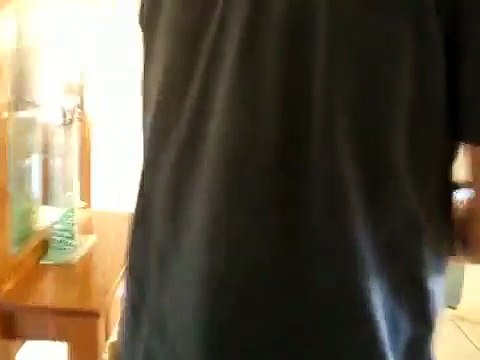 ★ PERRO SE PONE LOCO CON LA IDEA DE IR A PASEAR, JAJA - Perros Locos Humor Divertidos Chistosos