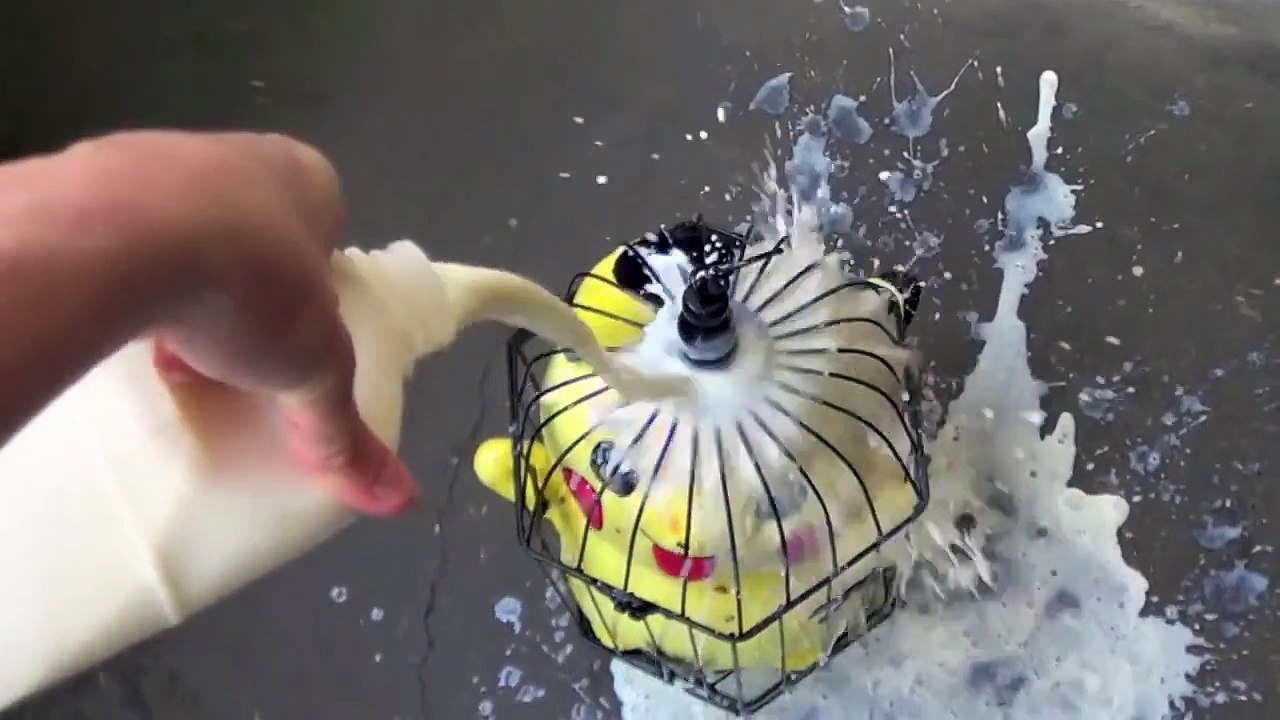 Pokemon Capture