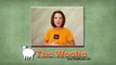 Overview About Our Faux Wall Painting Videos by The Woolie (How To Paint Your Walls) #Faux