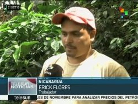 Nicaragua alcanza cifra récord con 400 mdd en exportaciones de café