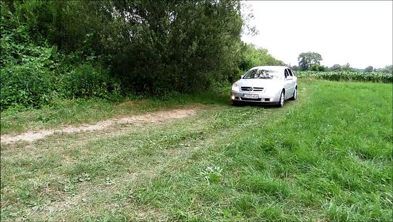 Amazing, car without driver