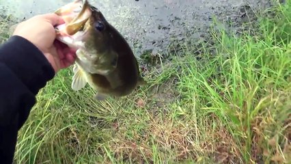 MTB Slam Bass Fishing Challenge -- September 2015 #HookedUpMTBSOTY