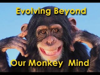 Evolving Beyond Our Monkey Mind