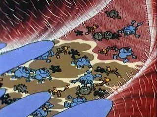 Siamo fatti così - 26 - La Respirazione