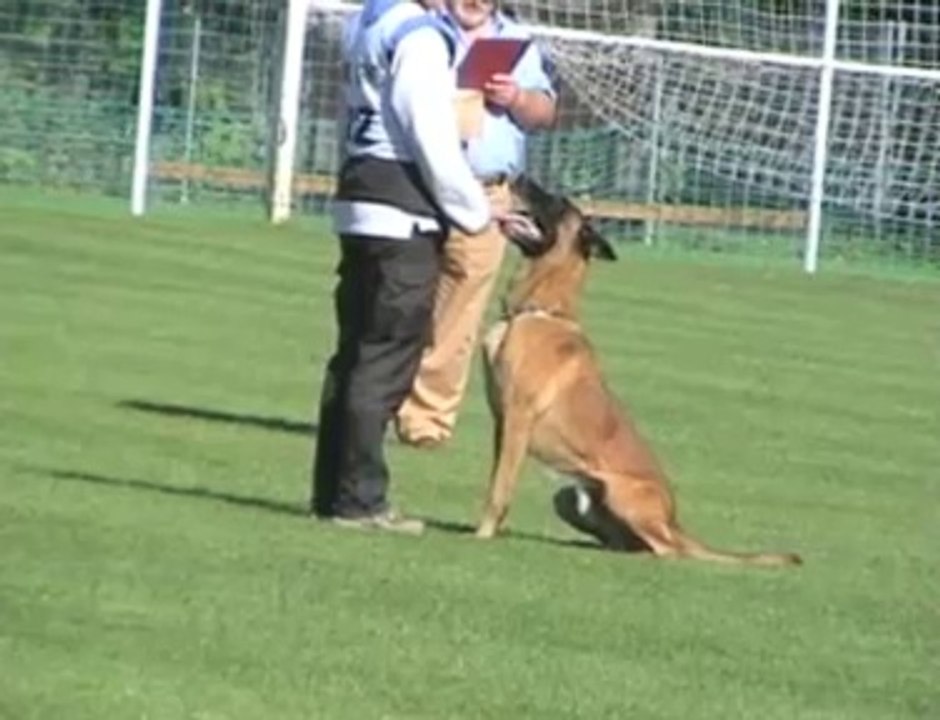 Vesuv von bonum bono, Papa von Mara