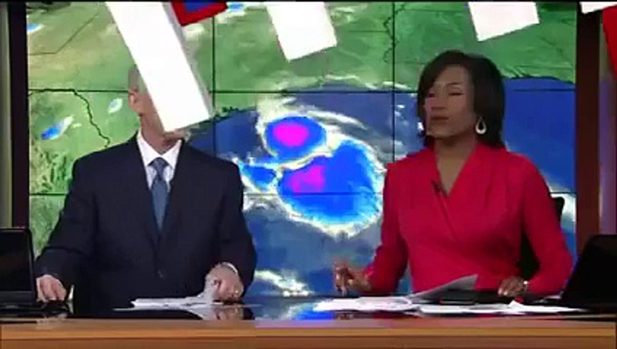 Biggest snake in the world surprises News ABC 13 reporter