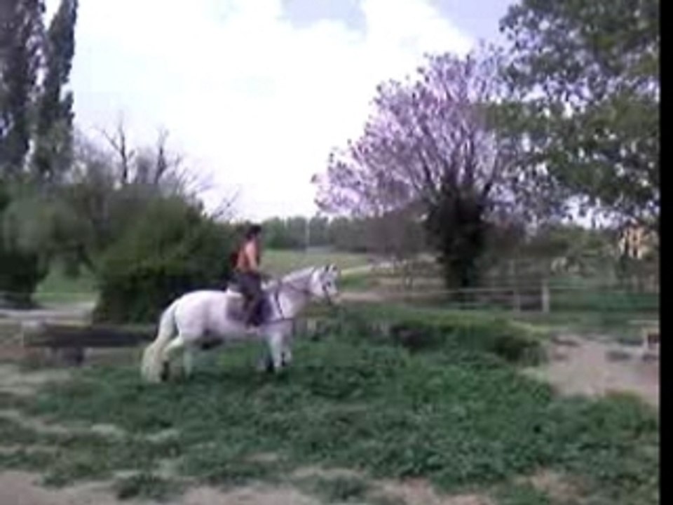 Cross 26-04-07 (5)