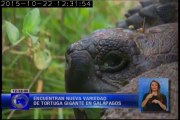 Nueva tortuga descubierta en Galápagos