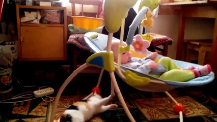 Lovely cat is swinging a cute baby.