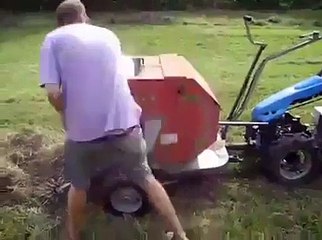 Bu köpekler insan gibi davranıyor