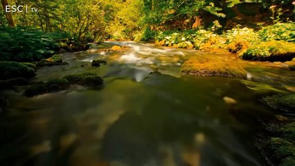 Eurovision Song Contest 1 | Madrid, Spain | Grand Final | 01 Croatia