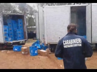 Capurso (BA) - Assalto a Tir carico di sigarette, rapinatore inseguito e bloccato (22.10.15)