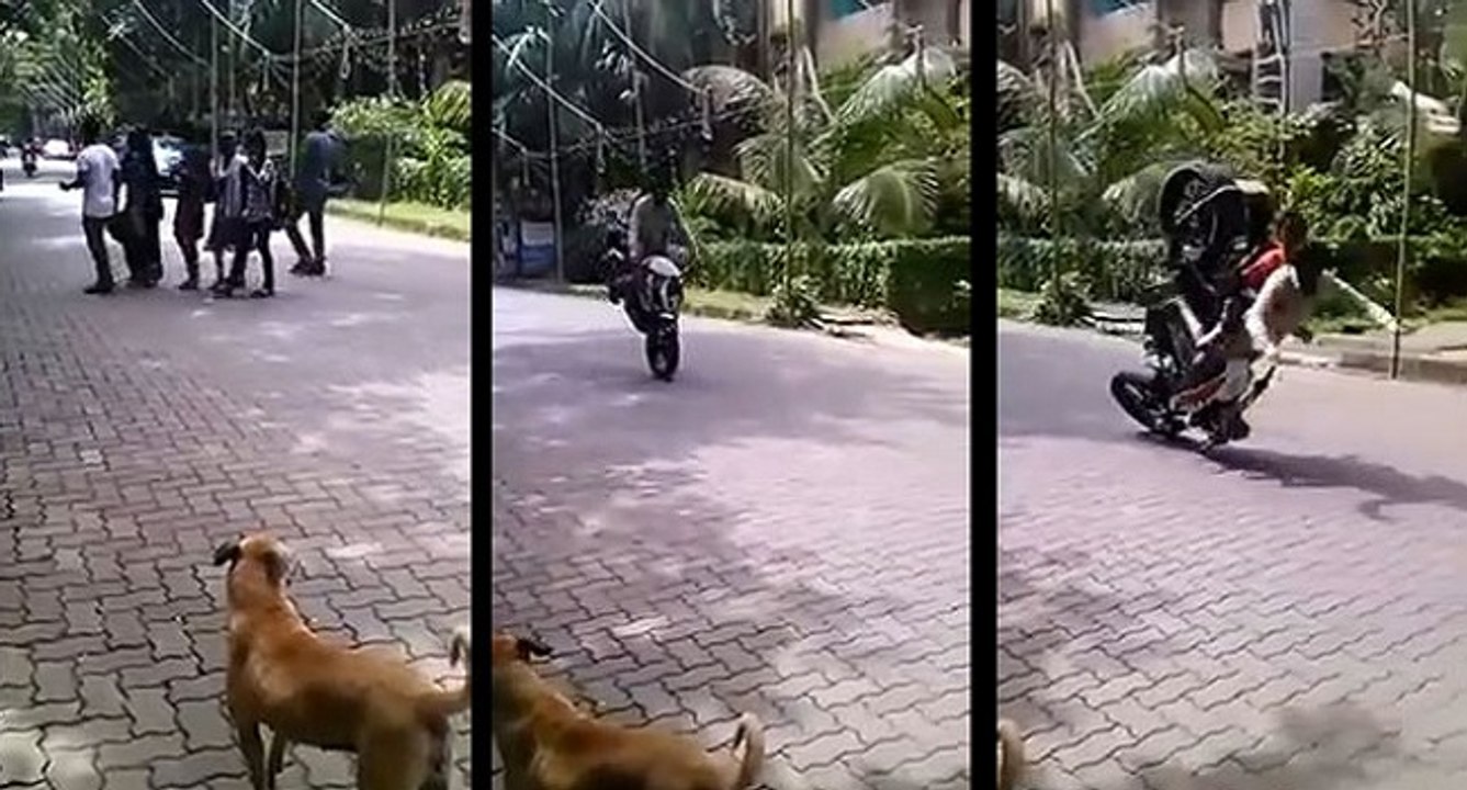 Moto STUNT Fail