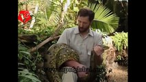Snake vs Crocodile Snake Wins - Snake vs Crocodile Fight - Snake Attack Crocodile