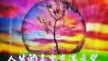 LINE_MOVIE_1444352765261.mp4