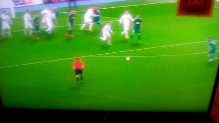 Rapid Wien vs Viktoria Plzen 1-1 hofmann