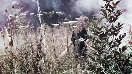 Tove Lo - Over [Official Music Video]