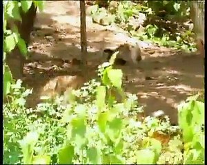 Get ready to have your mind Blown Away!