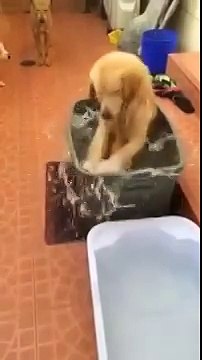 Что еще для счастья нужно?!