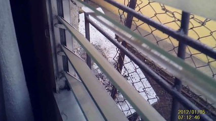 Video March 21 2015 Part II