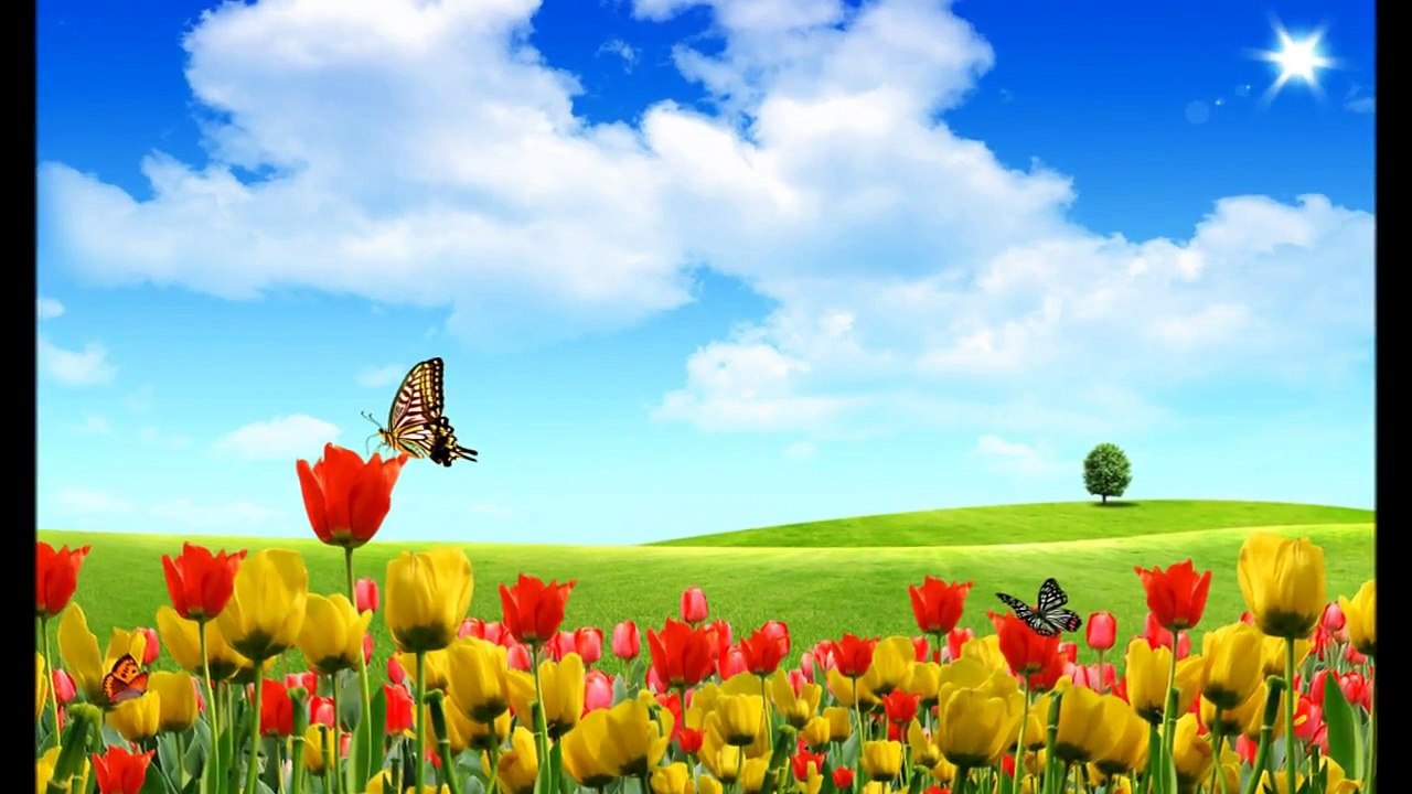 Sebebi Sen İbrahim Sadri