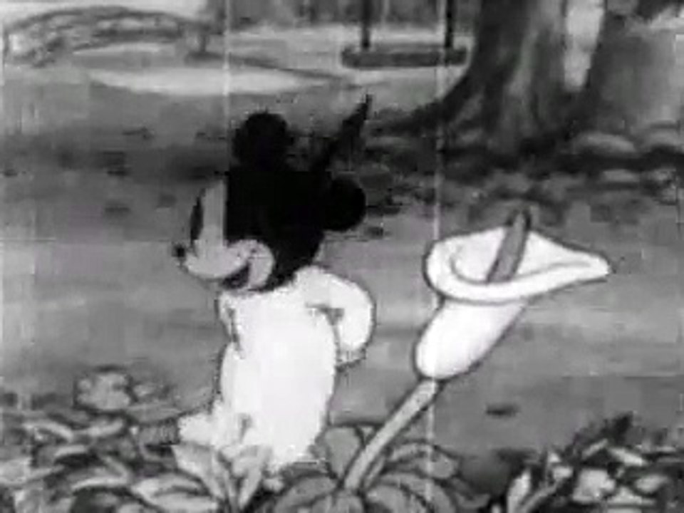 New Duck Donald Ducks Outing - Mickey Mouse Cartoon 1935