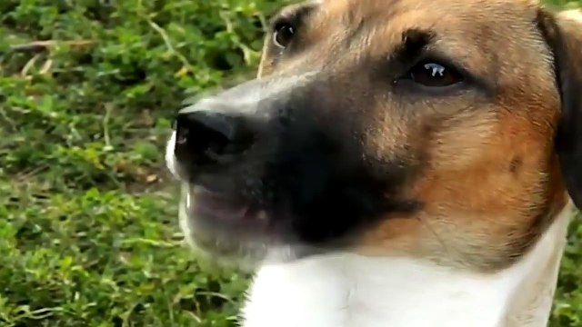 Приколы и неудачи Улетное видео Ржач