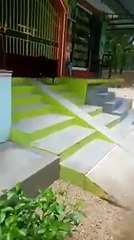 video lucu kambing main prosotan