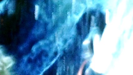 Why climb Mt. Everest