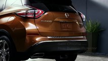 Nissan Murano Accessories: Protection & Cargo