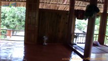VOYAGE VIETNAM | Chez l'habitant M. Pa au village Ngoi Tu (Vu Linh) - Thac Ba - Yen Bai