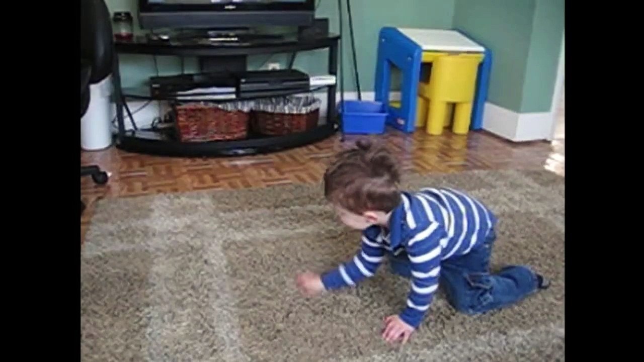 Attack Cat-bZ014zYROo0