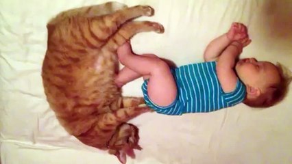 Cat Massages Sleeping Baby's Butt-e2qKqA8cFqE