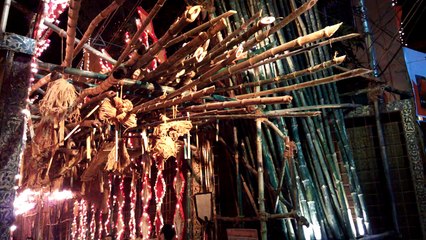 Durga Puja 2015: Selimpur Pally