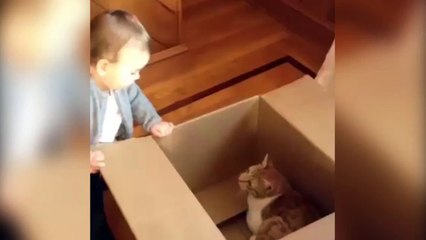 This Cat is Only Looking Out for Himself-Hjol0WZDzOk