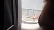 Bella Thorne & Bella Hadid -- Plane Crashes Before Takeoff! N