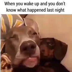 When you wake up and don't remember what happened last night!