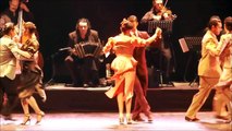 “ La Cumparsita” tango of eternal love: seductive, overwhelming compilation