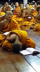 Monday mornings be like!