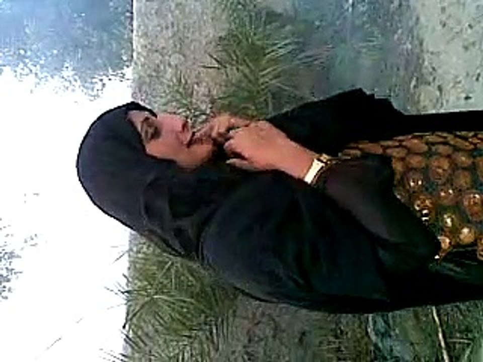 gashti 2015