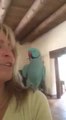 Parrot kissing girl
