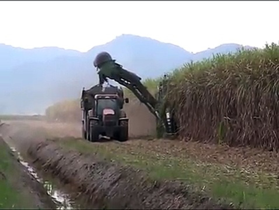 دیکھیے گنےکی کاشت دوسرے ممالک میں کیسے کی جاتی ہے