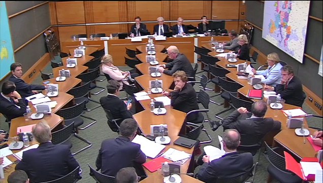 20.10.2015 - Commission du Développement Durable : Audition de Dominique Bureau