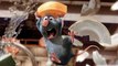 RATATOUILLE Movie Mistakes and Fails You Didnt Notice These Facts