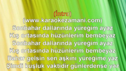 Onur Mete - Günlerden Yaz - (1997) TÜRKÇE KARAOKE