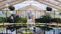 Top 5 Things to do With Your Grown-Up at Kew Gardens