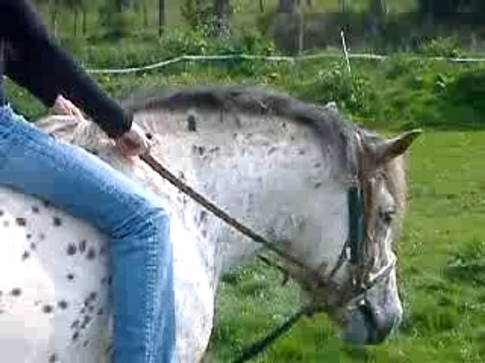 Ulia et Moi