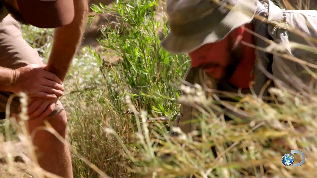 Surviving Namibia | Dual Survival