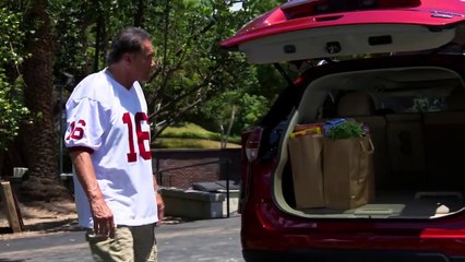 Jim Plunkett & The Stanford Tree | Groceries